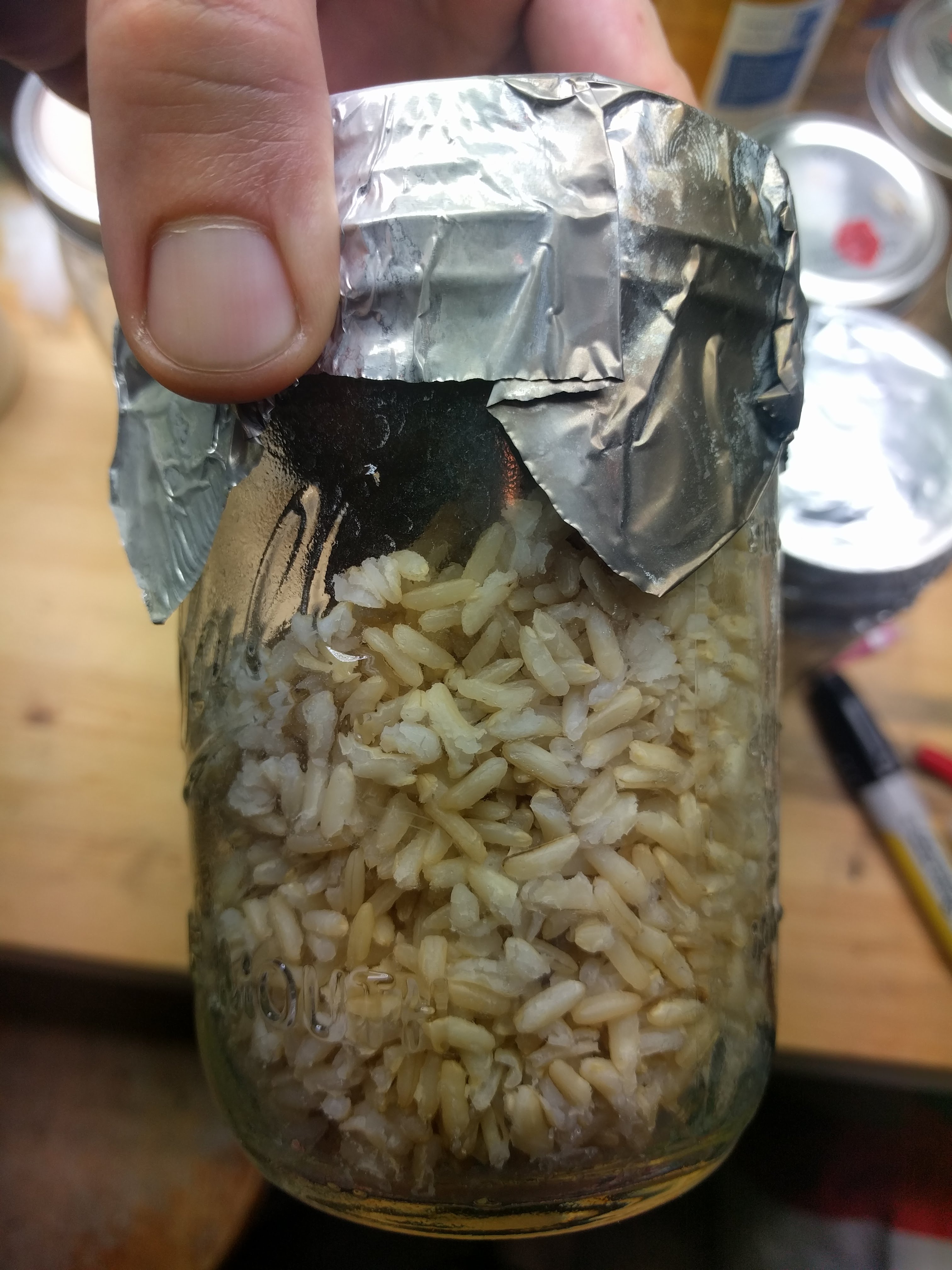 Sterilized Brown Rice.jpg